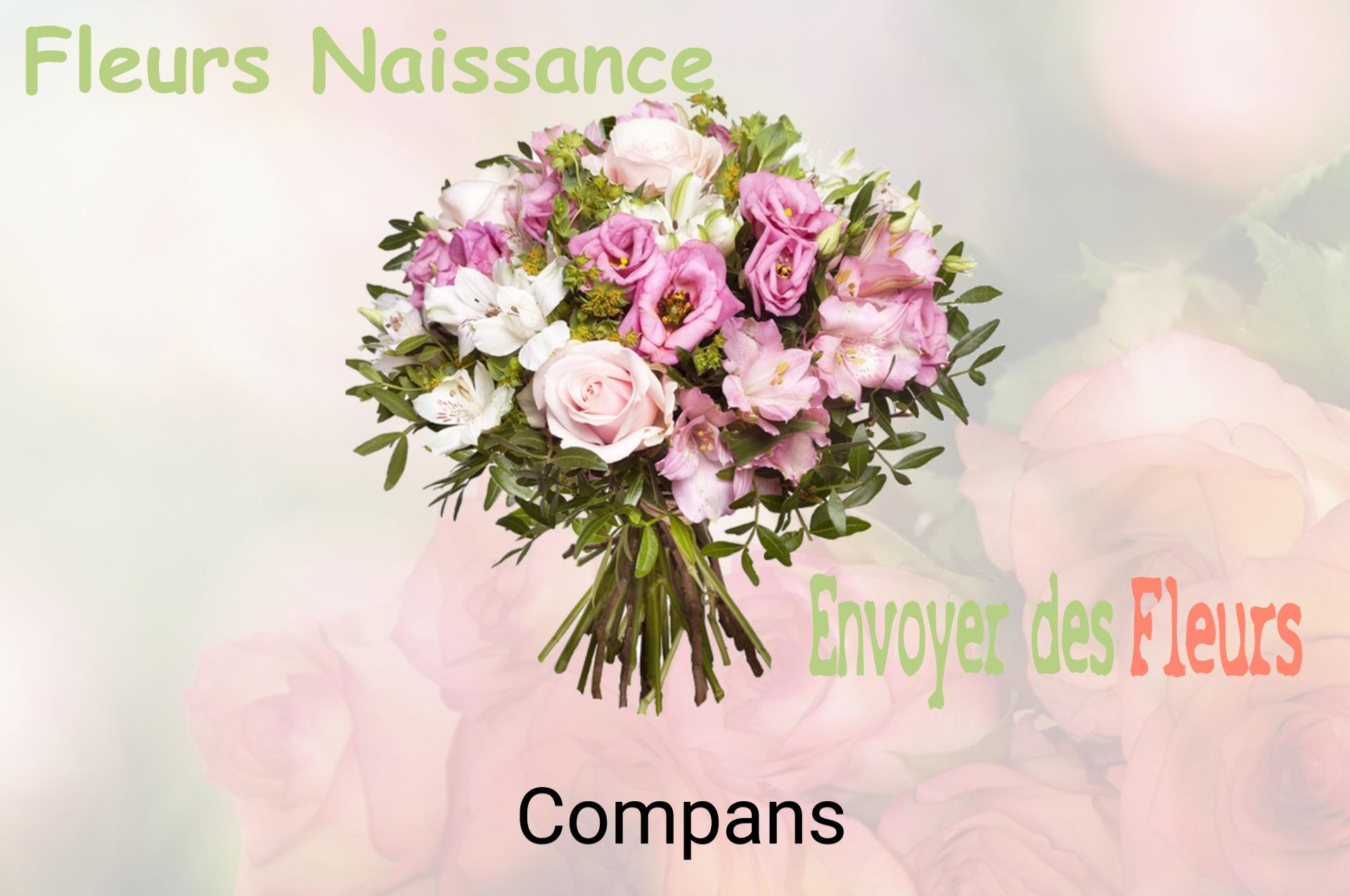 Bouquet de fleurs de naissance livré à Compans